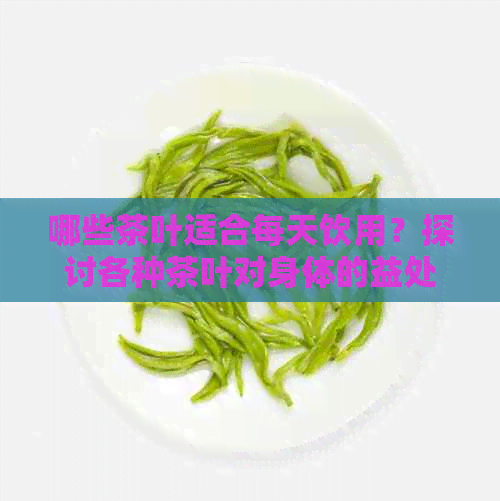 哪些茶叶适合每天饮用？探讨各种茶叶对身体的益处与注意事项