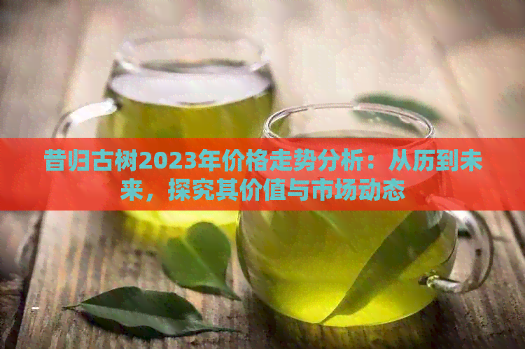 昔归古树2023年价格走势分析：从历到未来，探究其价值与市场动态