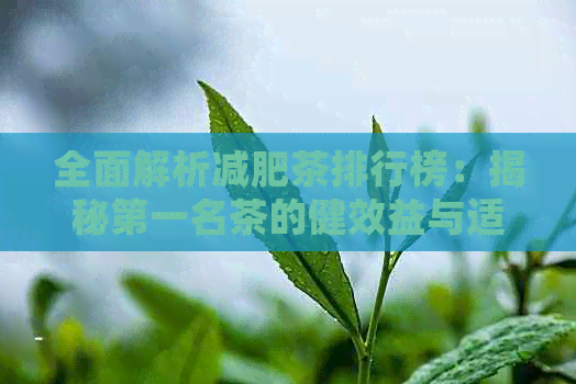 全面解析减肥茶排行榜：揭秘之一名茶的健效益与适用人群