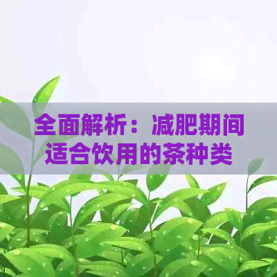 全面解析：减肥期间适合饮用的茶种类及其效果，助你轻松达成瘦身目标