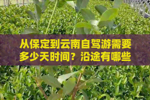 从保定到云南自驾游需要多少天时间？沿途有哪些景点值得一游？