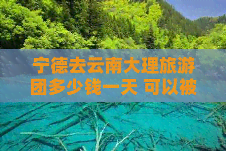 宁德去云南大理旅游团多少钱一天 可以被简化为 宁德去云南大理旅游团费用。