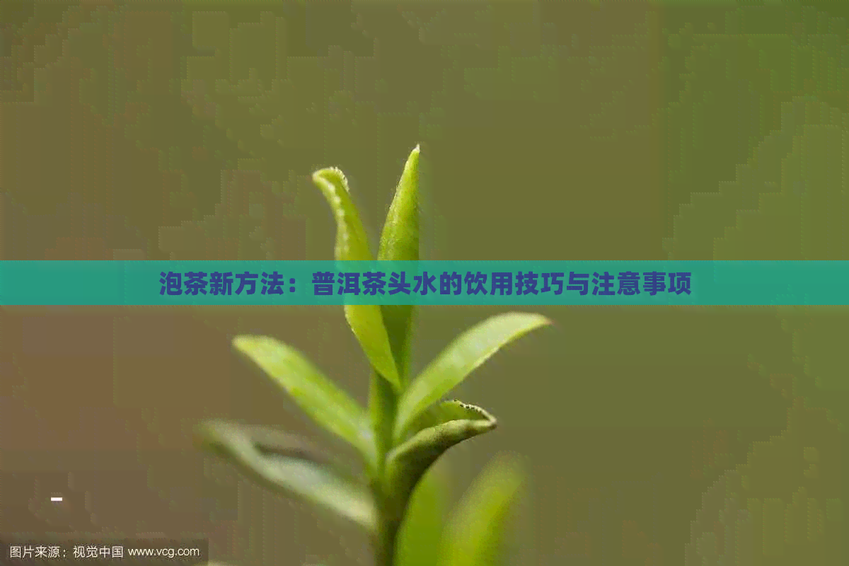 泡茶新方法：普洱茶头水的饮用技巧与注意事项