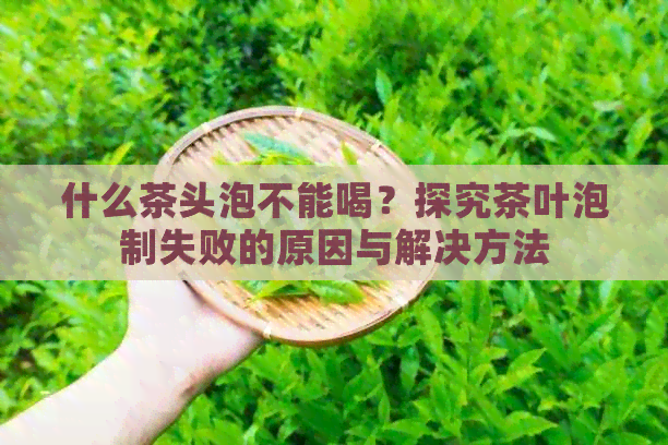 什么茶头泡不能喝？探究茶叶泡制失败的原因与解决方法