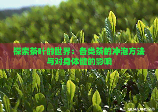 探索茶叶的世界：各类茶的冲泡方法与对身体健的影响