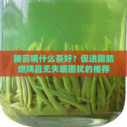 睡前喝什么茶好？促进脂肪燃烧且无失眠困扰的推荐