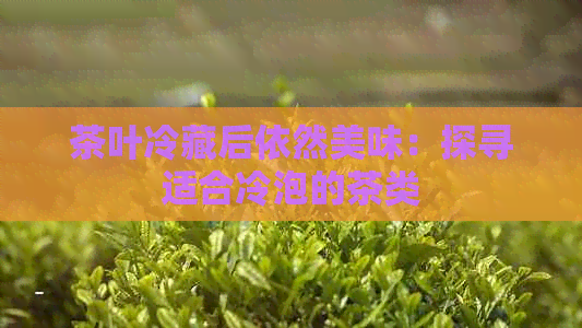 茶叶冷藏后依然美味：探寻适合冷泡的茶类