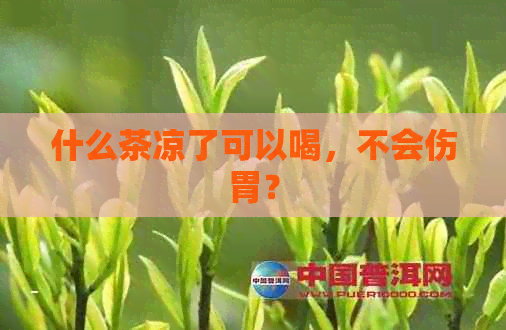 什么茶凉了可以喝，不会伤胃？