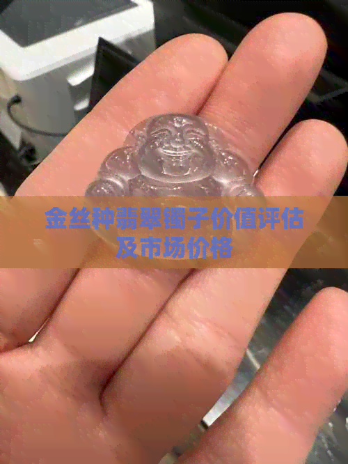 金丝种翡翠镯子价值评估及市场价格