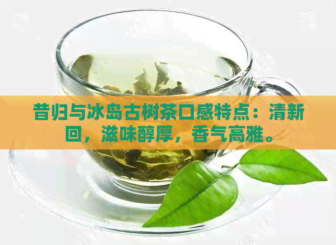 昔归与冰岛古树茶口感特点：清新回，滋味醇厚，香气高雅。