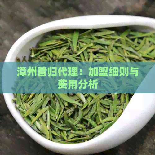 漳州昔归代理：加盟细则与费用分析