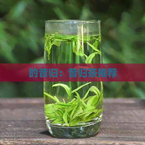 的昔归：昔归茶推荐