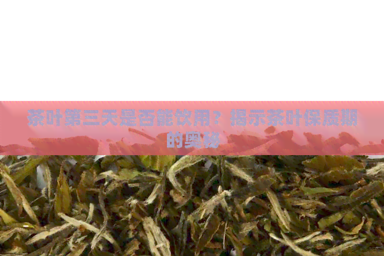 茶叶第三天是否能饮用？揭示茶叶保质期的奥秘