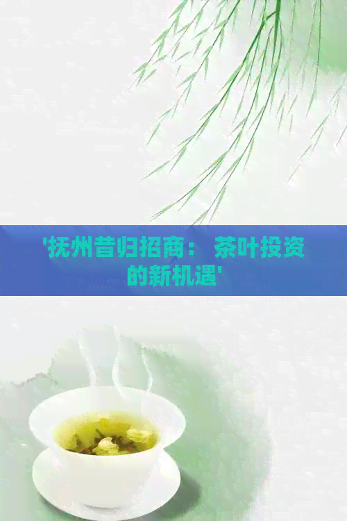 '抚州昔归招商： 茶叶投资的新机遇'