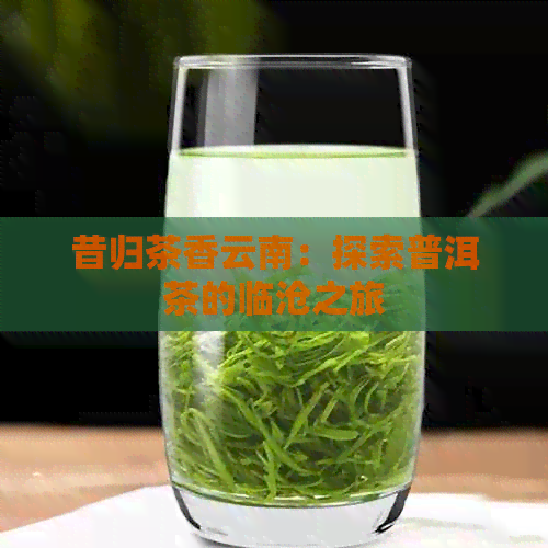 昔归茶香云南：探索普洱茶的临沧之旅