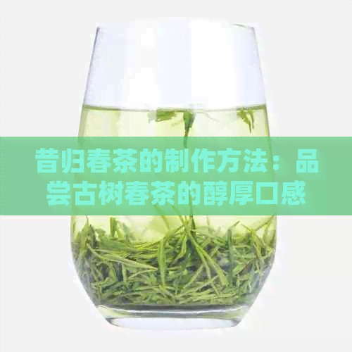 昔归春茶的制作方法：品尝古树春茶的醇厚口感