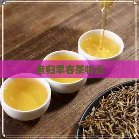 昔归早春茶特点