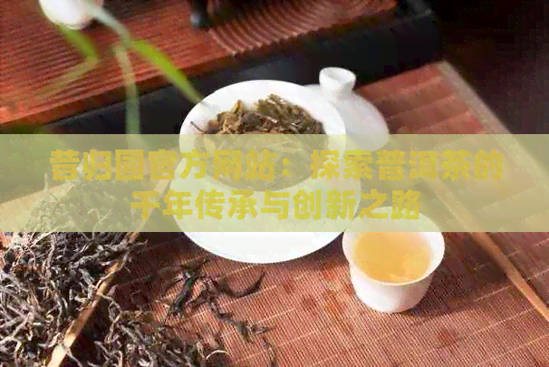 昔归园官方网站：探索普洱茶的千年传承与创新之路