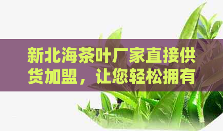 新北海茶叶厂家直接供货加盟，让您轻松拥有普洱茶事业