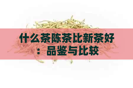 什么茶陈茶比新茶好：品鉴与比较