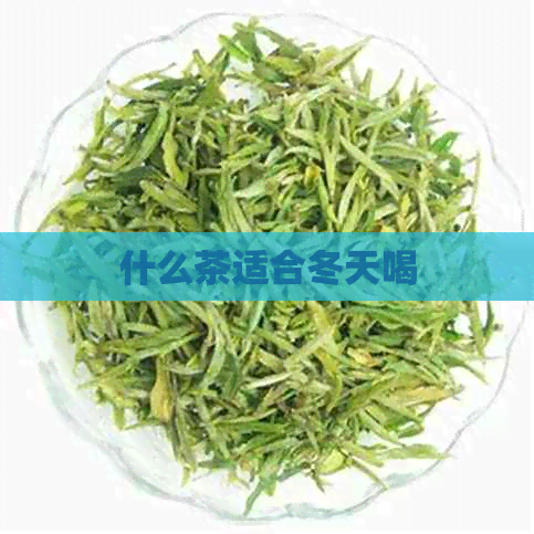 什么茶适合冬天喝