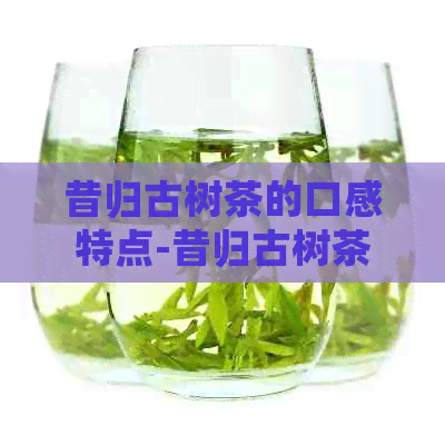 昔归古树茶的口感特点-昔归古树茶口感特点的介绍