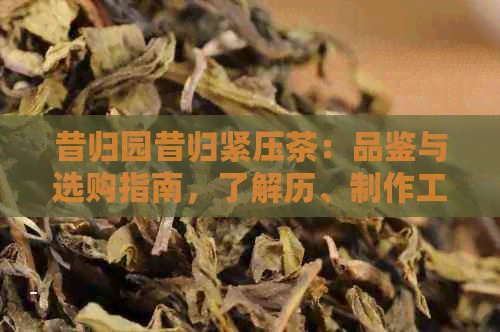 昔归园昔归紧压茶：品鉴与选购指南，了解历、制作工艺及口感特点