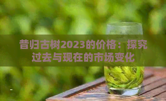 昔归古树2023的价格：探究过去与现在的市场变化