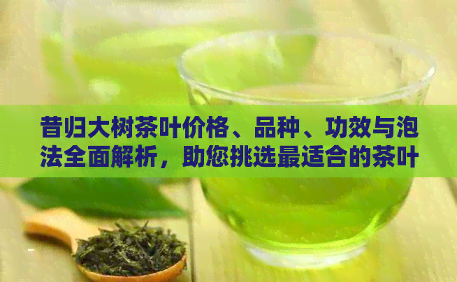 昔归大树茶叶价格、品种、功效与泡法全面解析，助您挑选最适合的茶叶