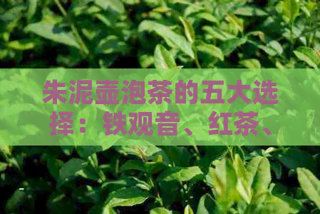 朱泥壶泡茶的五大选择：铁观音、红茶、乌龙茶、白茶和黑茶