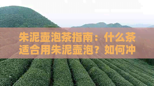 朱泥壶泡茶指南：什么茶适合用朱泥壶泡？如何冲泡出好味道？