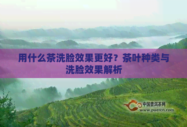 用什么茶洗脸效果更好？茶叶种类与洗脸效果解析