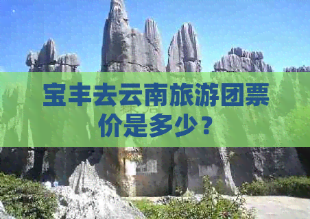 宝丰去云南旅游团票价是多少？