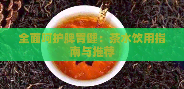 全面呵护脾胃健：茶水饮用指南与推荐