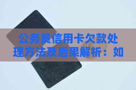 公务员信用卡欠款处理方法及后果解析：如何规划还款策略避免信用损失？