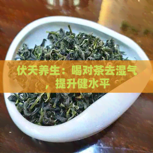 伏天养生：喝对茶去湿气，提升健水平