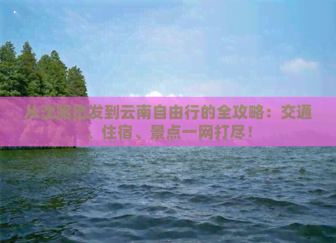 从沈阳出发到云南自由行的全攻略：交通、住宿、景点一网打尽！