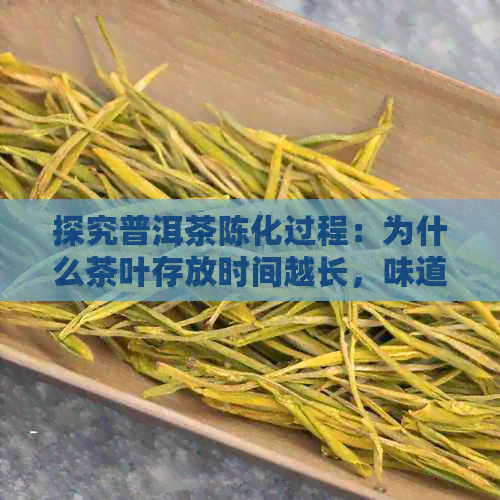 探究普洱茶陈化过程：为什么茶叶存放时间越长，味道越浓？