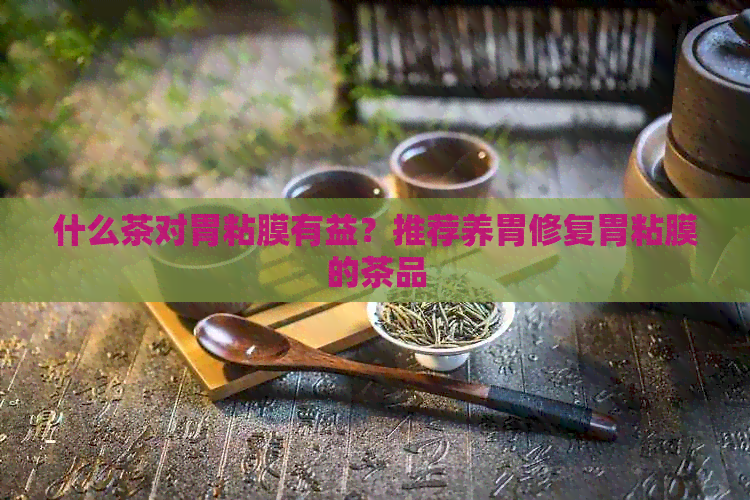 什么茶对胃粘膜有益？推荐养胃修复胃粘膜的茶品