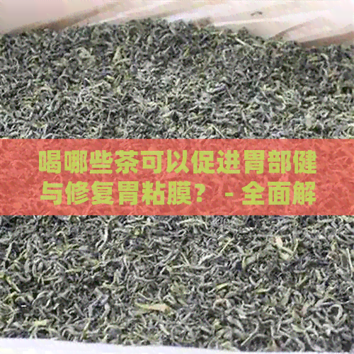 喝哪些茶可以促进胃部健与修复胃粘膜？ - 全面解析茶类对胃的益处与推荐