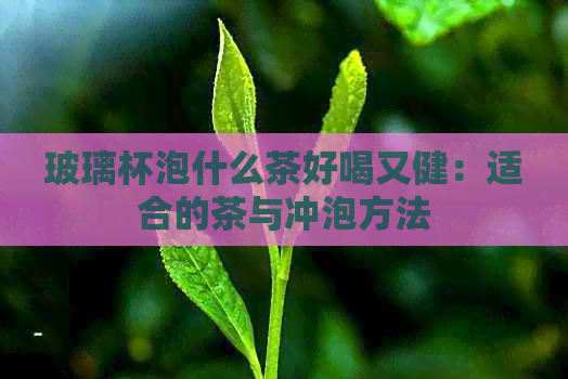 玻璃杯泡什么茶好喝又健：适合的茶与冲泡方法