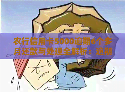 农行信用卡5000逾期6个多月还款与处理全解析：逾期后的严重性及应对策略！