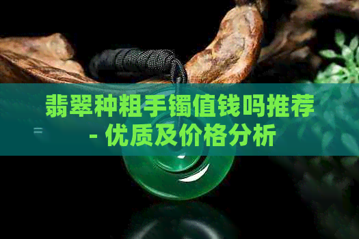 翡翠种粗手镯值钱吗推荐 - 优质及价格分析