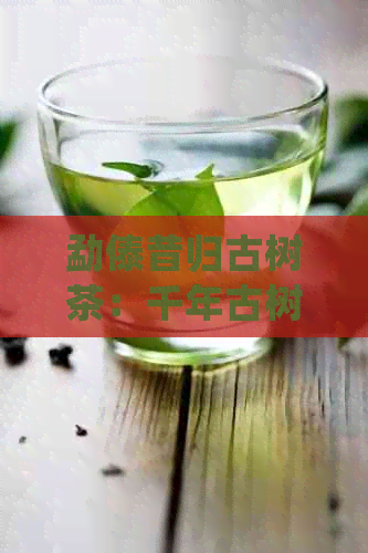 勐傣昔归古树茶：千年古树，传统工艺，品味独特，珍藏佳品。