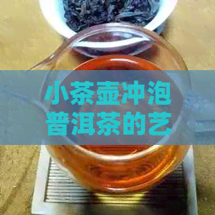 小茶壶冲泡普洱茶的艺术：什么茶叶最适合搭配？