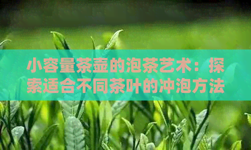 小容量茶壶的泡茶艺术：探索适合不同茶叶的冲泡方法