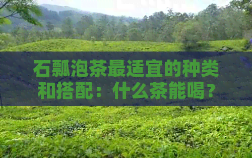 石瓢泡茶最适宜的种类和搭配：什么茶能喝？