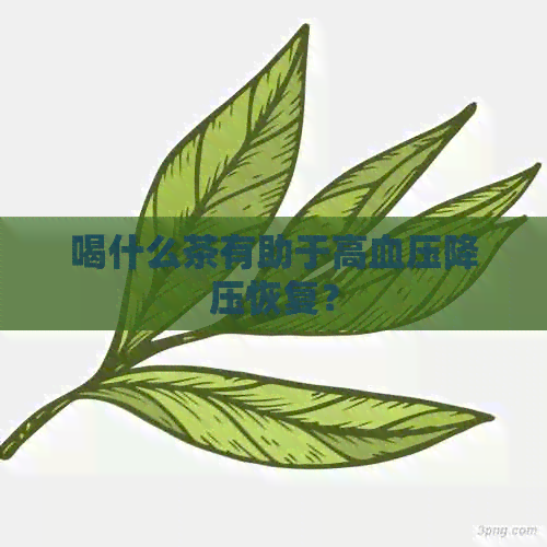 喝什么茶有助于高血压降压恢复？