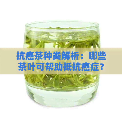 抗癌茶种类解析：哪些茶叶可帮助抵抗癌症？