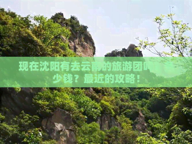 现在沈阳有去云南的旅游团吗？多少钱？最近的攻略！